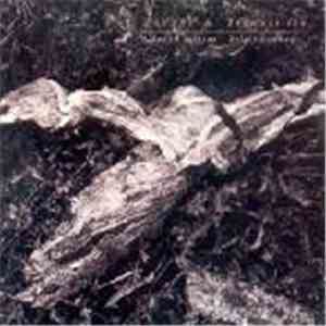 David Sylvian + Holger Czukay - Plight & Premonition download free