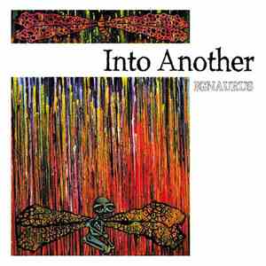 Into Another - Ignaurus download free