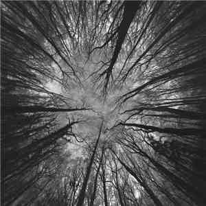 James Ginzburg & Yair Elazar Glotman - Nimbes download free