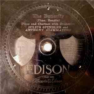Julius Spindler And Anthony Giammatteo / Weyert A. Moor - The Butterfly / Andante In F download free