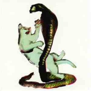 Les Savy Fav - The Cat And The Cobra download free