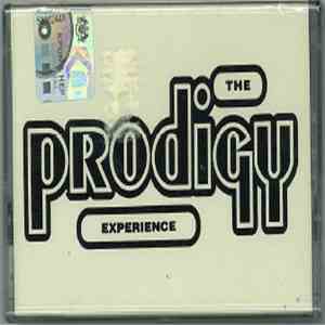 The Prodigy - Experience download free