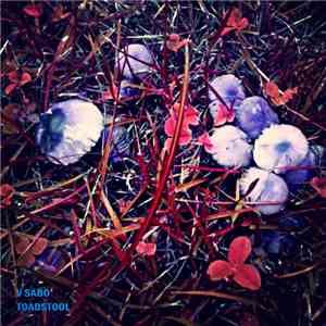 V Sabo - Toadstool download free