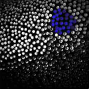 Various - Extended Family Volume 5 download free